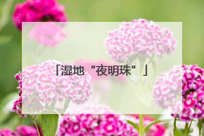 湿地“夜明珠”