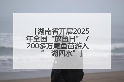 湖南省开展2025年全国“放鱼日” 7200多万尾鱼苗游入“一湖四水”