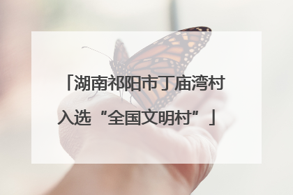 湖南祁阳市丁庙湾村入选“全国文明村”
