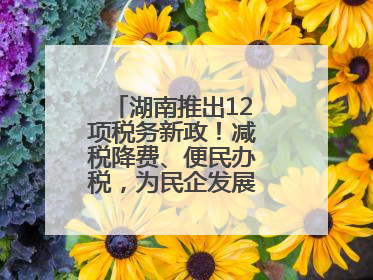 湖南推出12项税务新政！减税降费、便民办税，为民企发展“减负加油”