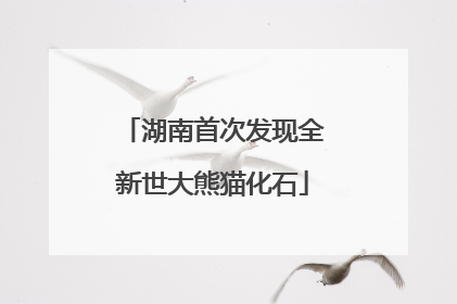 湖南首次发现全新世大熊猫化石