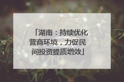 湖南：持续优化营商环境，力促民间投资提质增效