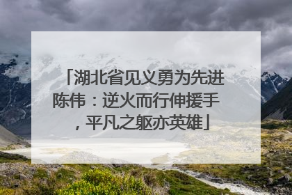 湖北省见义勇为先进陈伟：逆火而行伸援手，平凡之躯亦英雄
