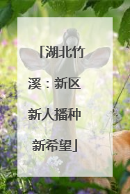 湖北竹溪：新区新人播种新希望