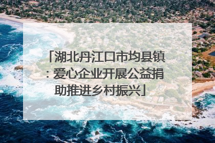 湖北丹江口市均县镇：爱心企业开展公益捐助推进乡村振兴