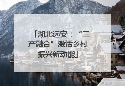 湖北远安：“三产融合”激活乡村振兴新动能