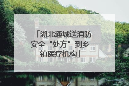 湖北通城送消防安全“处方”到乡镇医疗机构