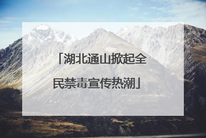 湖北通山掀起全民禁毒宣传热潮