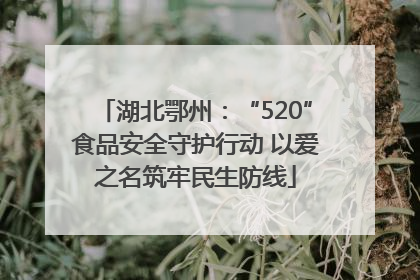 湖北鄂州：“520”食品安全守护行动 以爱之名筑牢民生防线