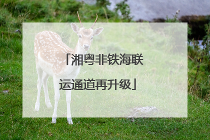 湘粤非铁海联运通道再升级