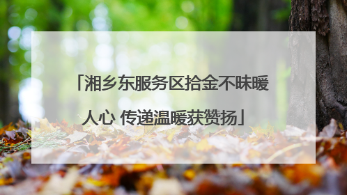 湘乡东服务区拾金不昧暖人心 传递温暖获赞扬