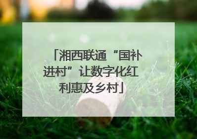 湘西联通“国补进村”让数字化红利惠及乡村
