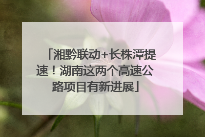 湘黔联动+长株潭提速！湖南这两个高速公路项目有新进展