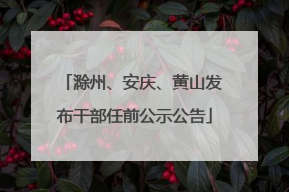 滁州、安庆、黄山发布干部任前公示公告