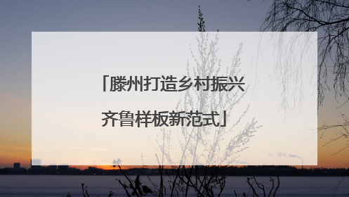 滕州打造乡村振兴齐鲁样板新范式