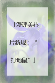 漫评美芯片新规：“打地鼠”