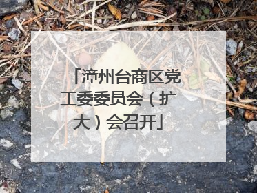 漳州台商区党工委委员会（扩大）会召开