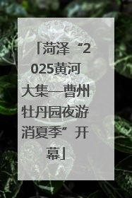 菏泽“2025黄河大集—曹州牡丹园夜游消夏季”开幕