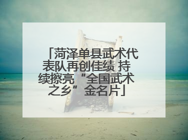 菏泽单县武术代表队再创佳绩 持续擦亮“全国武术之乡”金名片