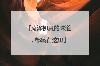 菏泽初夏的味道，都藏在这里