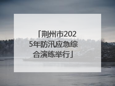 荆州市2025年防汛应急综合演练举行