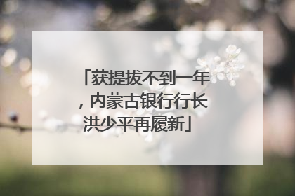 获提拔不到一年，内蒙古银行行长洪少平再履新