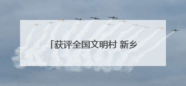 获评全国文明村 新乡县这两个村为啥行？