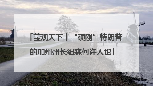 莹观天下｜“硬刚”特朗普的加州州长纽森何许人也