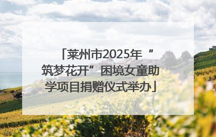 莱州市2025年“筑梦花开”困境女童助学项目捐赠仪式举办