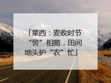 莱西：麦收时节“警”相随，田间地头护“农”忙