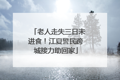 老人走失三日未进食！江夏警民跨城接力助回家