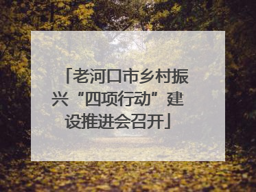 老河口市乡村振兴“四项行动”建设推进会召开