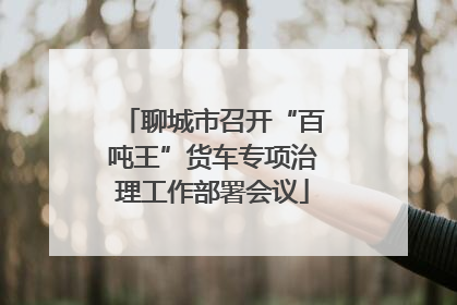 聊城市召开“百吨王”货车专项治理工作部署会议