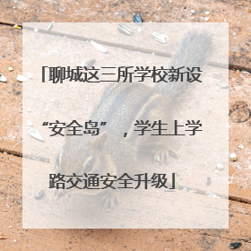 聊城这三所学校新设“安全岛”，学生上学路交通安全升级