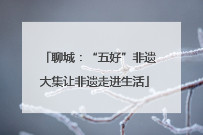 聊城：“五好”非遗大集让非遗走进生活
