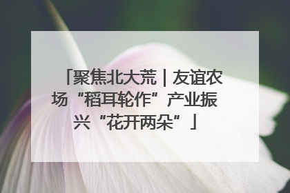 聚焦北大荒｜友谊农场“稻耳轮作”产业振兴“花开两朵”