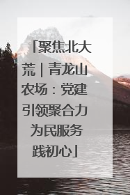 聚焦北大荒｜青龙山农场：党建引领聚合力 为民服务践初心