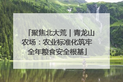 聚焦北大荒｜青龙山农场：农业标准化筑牢全年粮食安全根基
