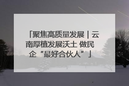 聚焦高质量发展｜云南厚植发展沃土 做民企“最好合伙人”