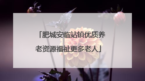 肥城安临站镇优质养老资源福祉更多老人