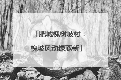 肥城槐树坡村：槐坡风动绿藤新