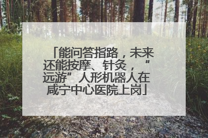 能问答指路，未来还能按摩、针灸，“远游”人形机器人在咸宁中心医院上岗