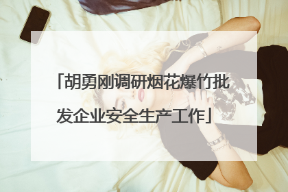 胡勇刚调研烟花爆竹批发企业安全生产工作
