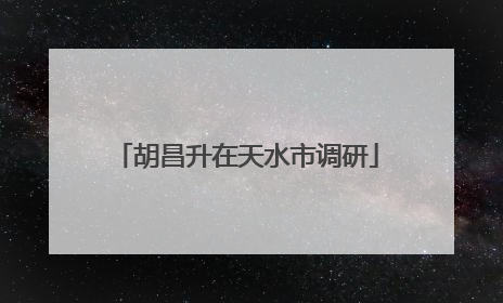 胡昌升在天水市调研