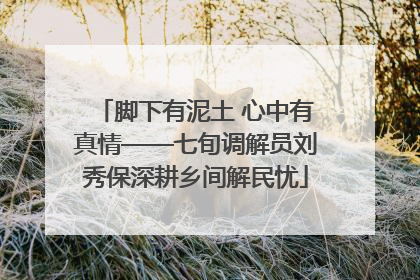 脚下有泥土 心中有真情——七旬调解员刘秀保深耕乡间解民忧