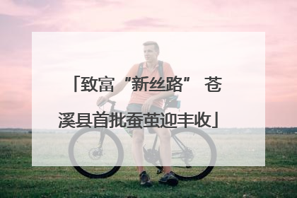 致富“新丝路” 苍溪县首批蚕茧迎丰收