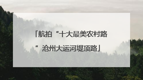 航拍“十大最美农村路”沧州大运河堤顶路