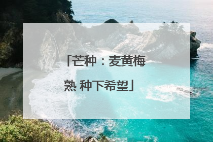 芒种：麦黄梅熟 种下希望