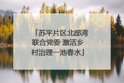 苏平片区北部湾联合党委 激活乡村治理一池春水