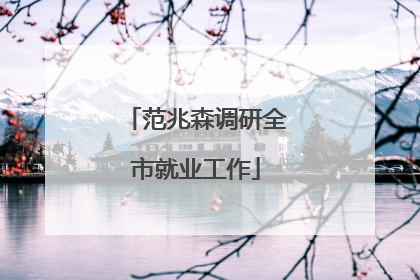 范兆森调研全市就业工作